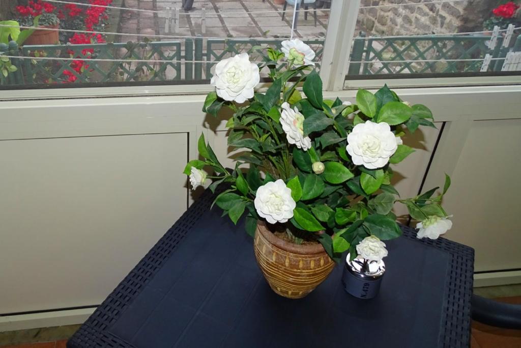 Nonna Peppa - Sorrento Bed & Breakfast Sant'Agnello Eksteriør bilde